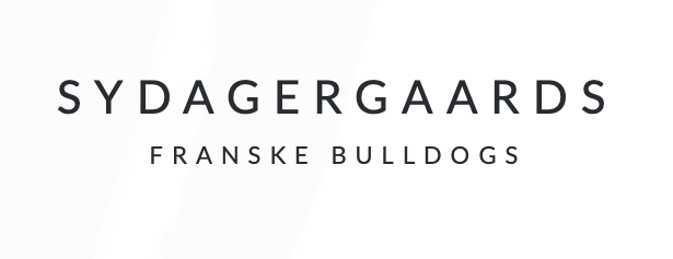 Sydagergaards Franske Bulldogs